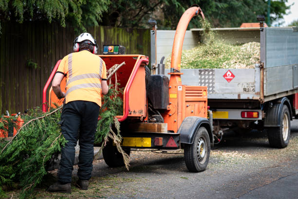 Lawn Pest Prevention in North Granby, CT